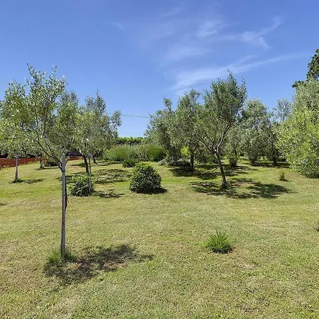 Mit Grossem Garten Und Grillbereich