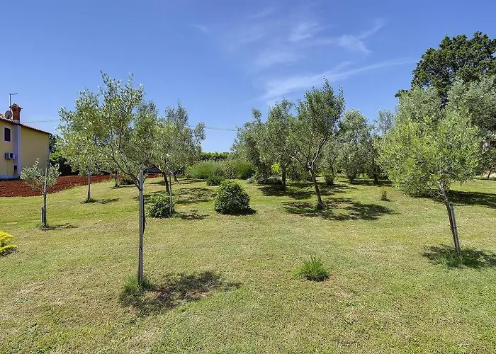 Mit Grossem Garten Und Grillbereich